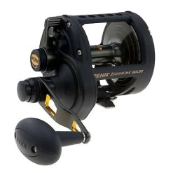 Penn Fathom FTH60LD2